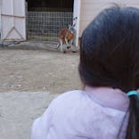 東武動物公園に投稿された画像（2024/2/12）