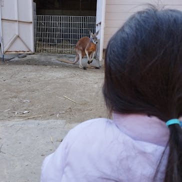 東武動物公園に投稿された画像（2024/2/12）