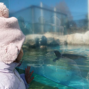 東武動物公園に投稿された画像（2024/2/12）