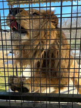 那須サファリパークに投稿された画像（2024/2/11）