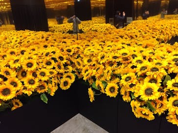 ゴッホ・アライブに投稿された画像（2024/2/12）