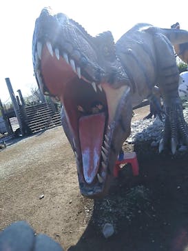 伊豆ぐらんぱる公園に投稿された画像（2024/2/12）