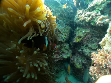 武藤潜水に投稿された画像（2024/2/12）