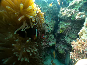 武藤潜水に投稿された画像（2024/2/12）