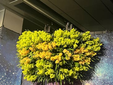 世界らん展2026-花と緑の祭典-に投稿された画像（2024/2/12）