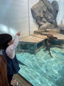 NIFREL（ニフレル）に投稿された画像（2024/2/12）