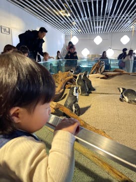 NIFREL（ニフレル）に投稿された画像（2024/2/12）