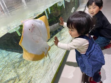 NIFREL（ニフレル）に投稿された画像（2024/2/12）