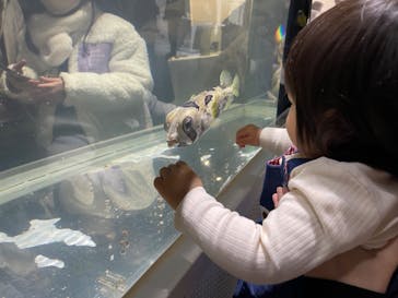 NIFREL（ニフレル）に投稿された画像（2024/2/12）