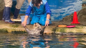 マリンワールド海の中道に投稿された画像（2024/2/12）