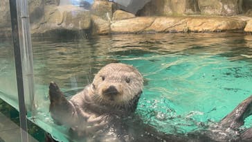 マリンワールド海の中道に投稿された画像（2024/2/12）