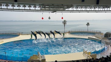 マリンワールド海の中道に投稿された画像（2024/2/12）