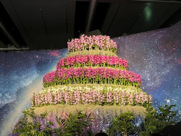 世界らん展2026-花と緑の祭典-に投稿された画像（2024/2/12）