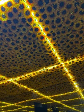 ゴッホ・アライブに投稿された画像（2024/2/10）