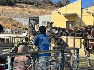 日立市かみね動物園に投稿された画像（2024/2/12）