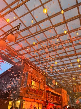 西武園ゆうえんちに投稿された画像（2024/2/12）