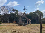 天王寺動物園に投稿された画像（2024/2/12）