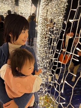 ゴッホ・アライブに投稿された画像（2024/2/12）