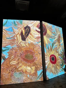 ゴッホ・アライブに投稿された画像（2024/2/12）