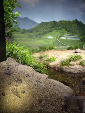 天王寺動物園に投稿された画像（2024/2/12）