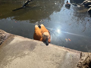 神戸どうぶつ王国に投稿された画像（2024/2/12）