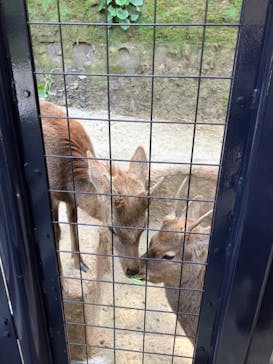 沖縄こどもの国に投稿された画像（2024/2/12）