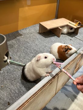 沖縄こどもの国に投稿された画像（2024/2/12）