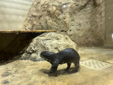 DMMかりゆし水族館に投稿された画像（2024/2/12）