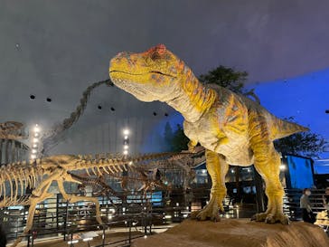 福井県立恐竜博物館に投稿された画像（2024/2/12）