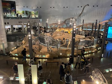 福井県立恐竜博物館に投稿された画像（2024/2/12）