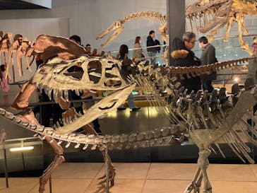 福井県立恐竜博物館に投稿された画像（2024/2/12）