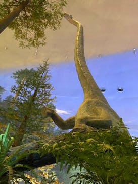 福井県立恐竜博物館に投稿された画像（2024/2/12）