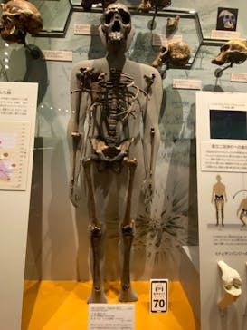 福井県立恐竜博物館に投稿された画像（2024/2/12）