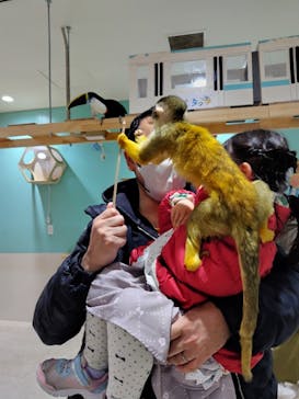 アニタッチアクアシティお台場に投稿された画像（2024/2/12）