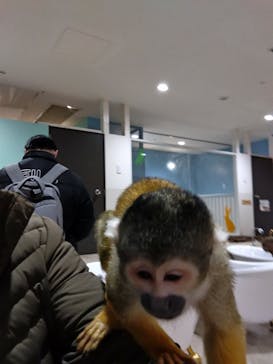 アニタッチアクアシティお台場に投稿された画像（2024/2/12）