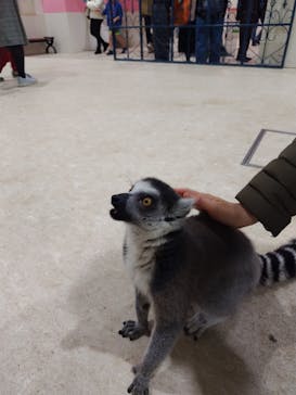 アニタッチアクアシティお台場に投稿された画像（2024/2/12）