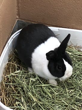 淡路ファームパーク イングランドの丘に投稿された画像（2024/2/12）