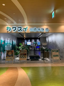 カワスイ 川崎⽔族館に投稿された画像（2024/2/12）