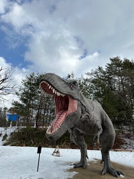 福井県立恐竜博物館に投稿された画像（2024/2/12）