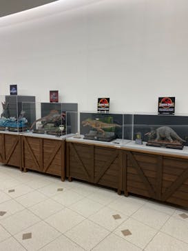 福井県立恐竜博物館に投稿された画像（2024/2/12）