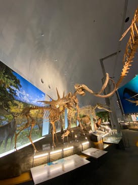 福井県立恐竜博物館に投稿された画像（2024/2/12）