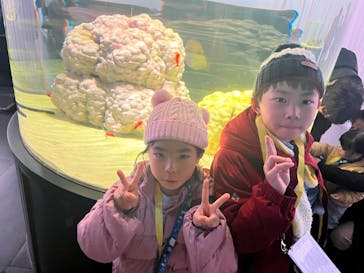 NIFREL（ニフレル）に投稿された画像（2024/2/12）