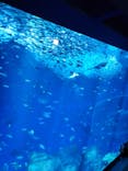アクアワールド茨城県大洗水族館に投稿された画像（2024/2/12）