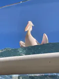 サンシャイン水族館に投稿された画像（2024/2/12）