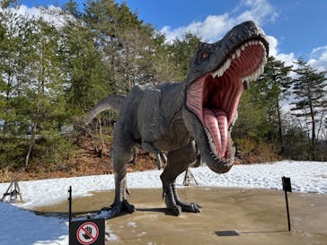 福井県立恐竜博物館に投稿された画像（2024/2/12）