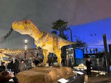 福井県立恐竜博物館に投稿された画像（2024/2/12）