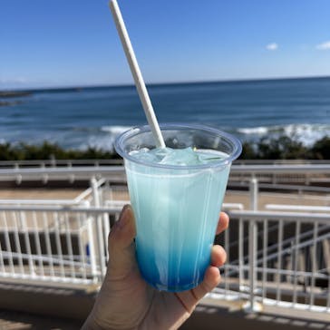 アクアワールド茨城県大洗水族館に投稿された画像（2024/2/12）