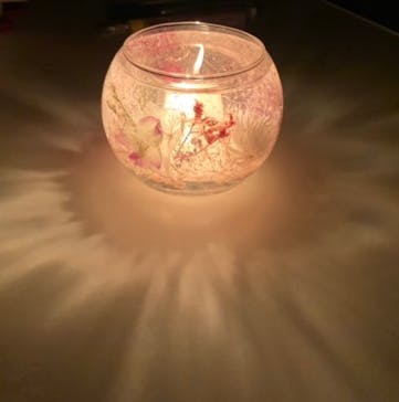 ずこうしつ〜sugamo〜に投稿された画像（2024/2/12）