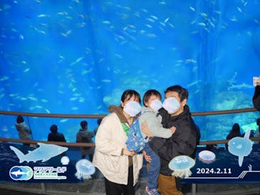 アクアワールド茨城県大洗水族館に投稿された画像（2024/2/12）