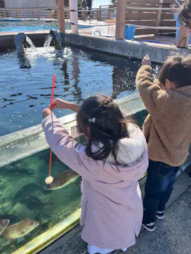 横浜・八景島シーパラダイスに投稿された画像（2024/2/12）